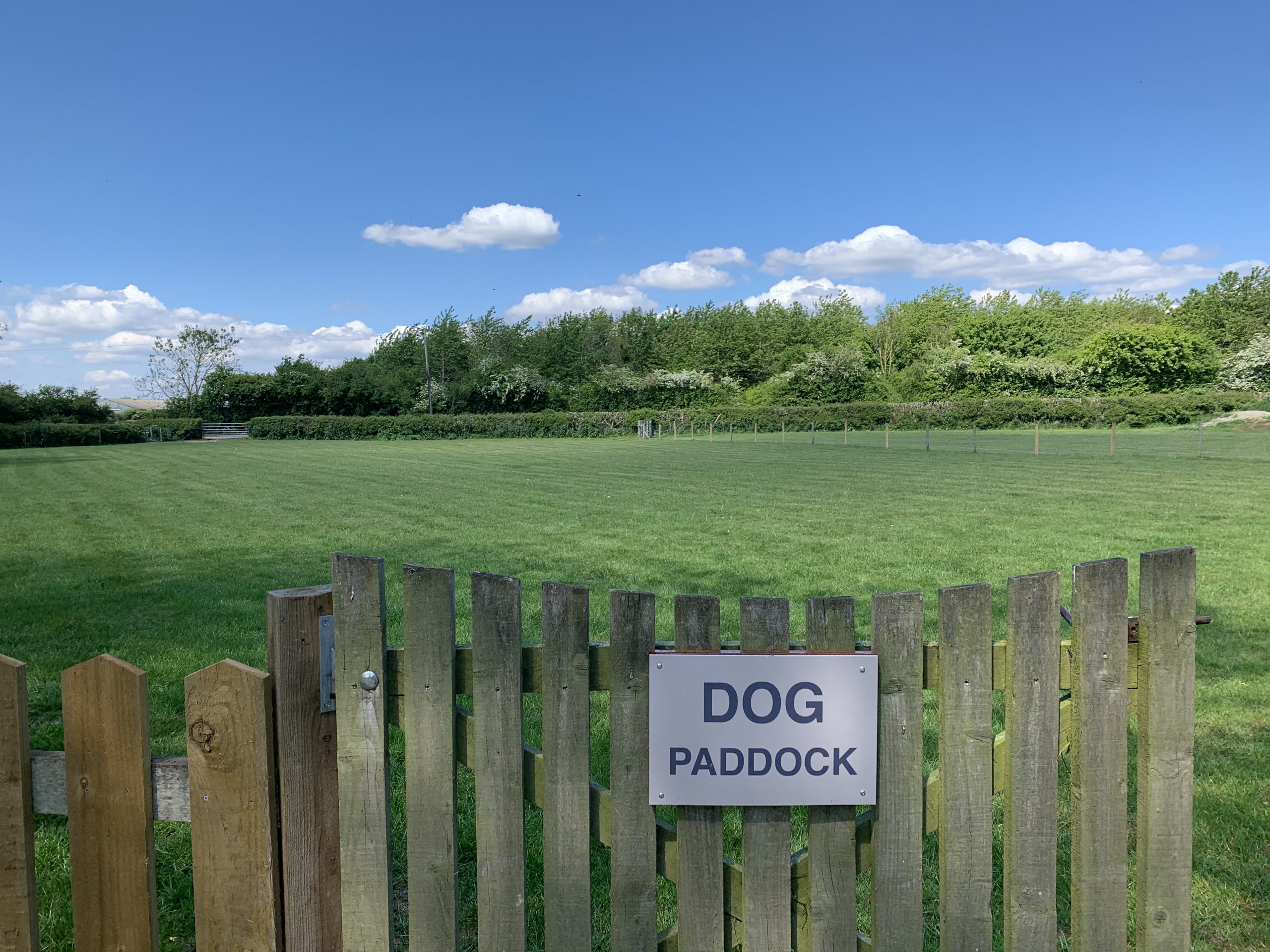 Featured image for “Top Tips for bringing your dog to Low Costa Mill”