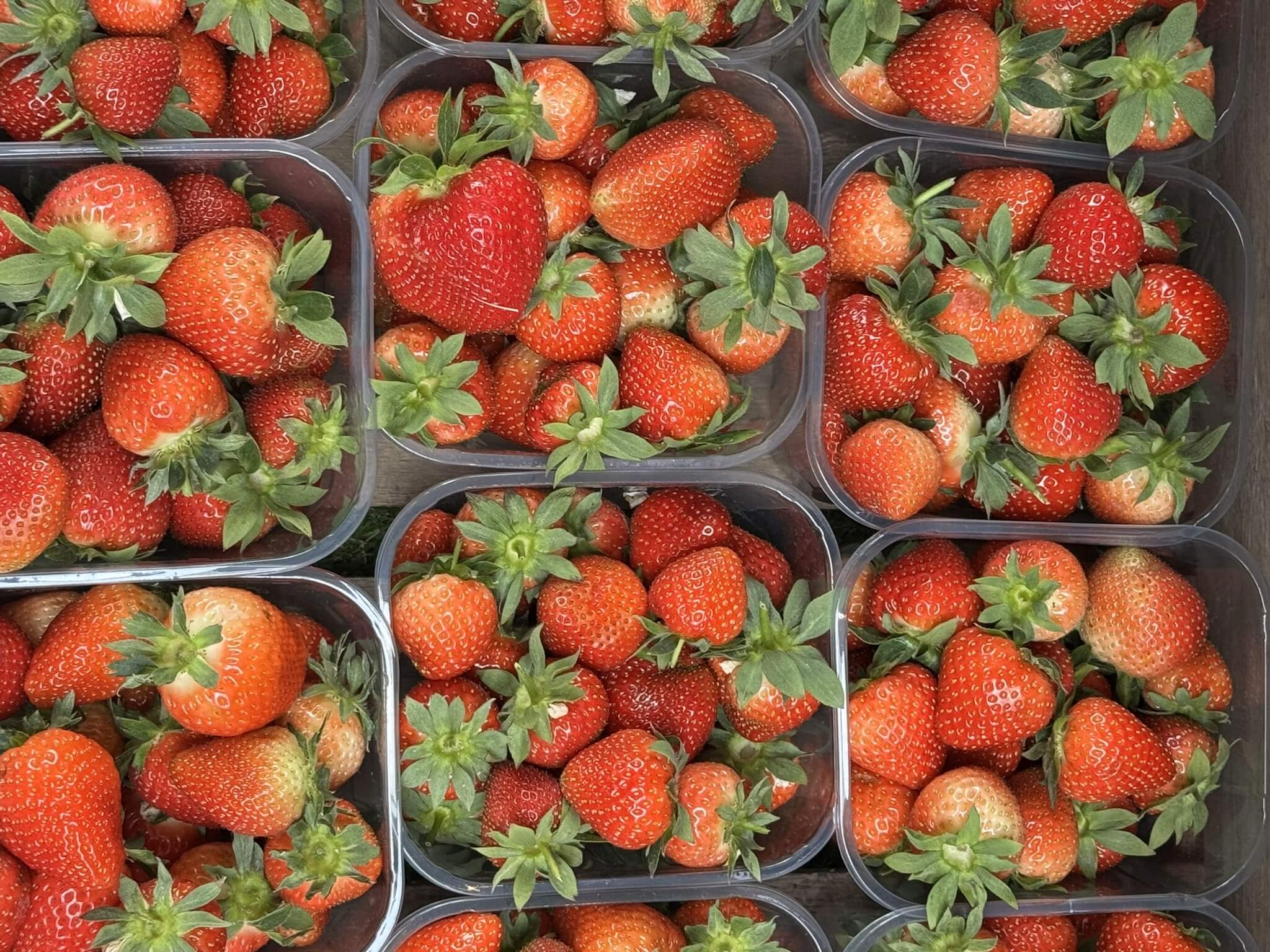 Featured image for “Local Farm Shops – tasty treats from a tempting trio”