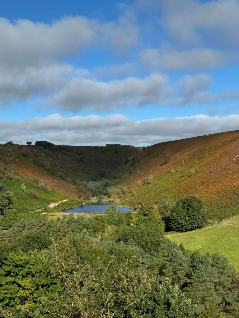 Autumn views in the North York Moors