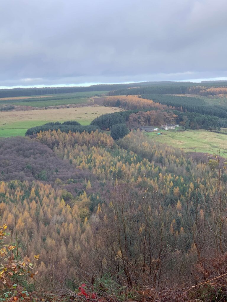 Views from Dalby Forest in Autumn