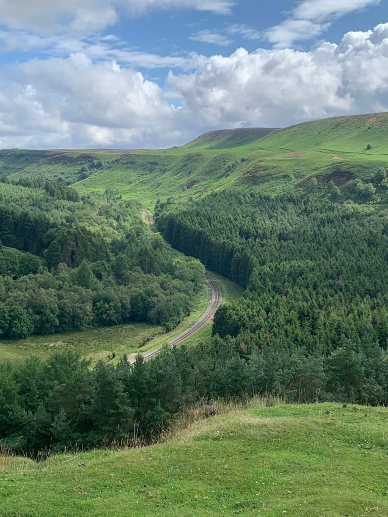 View from Levisham Moor down to Newtondale