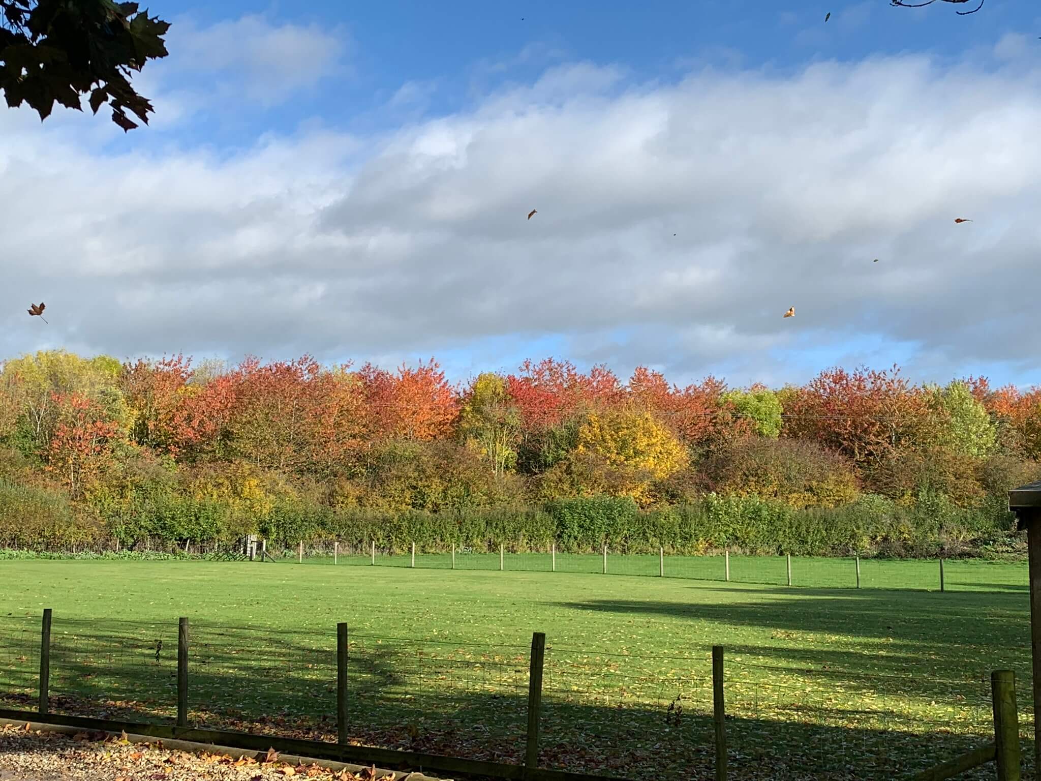 Featured image for “Dark Skies, Spooky Fun & Autumn Adventures: Your Guide to October Half Term in the North York Moors”