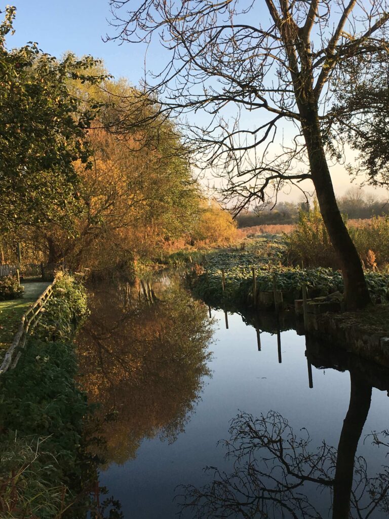 Autumn at Low Costa Mill