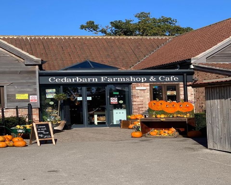 Pumpkins at Cedarbarn Farmshop