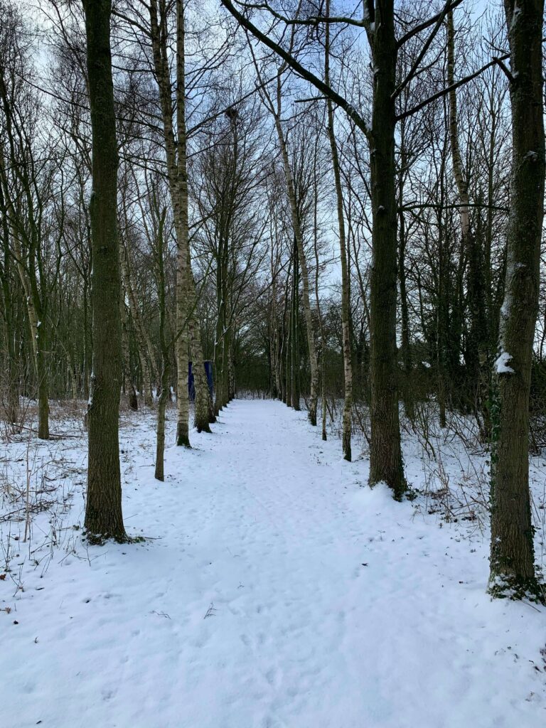 Snow at Low Costa Mill