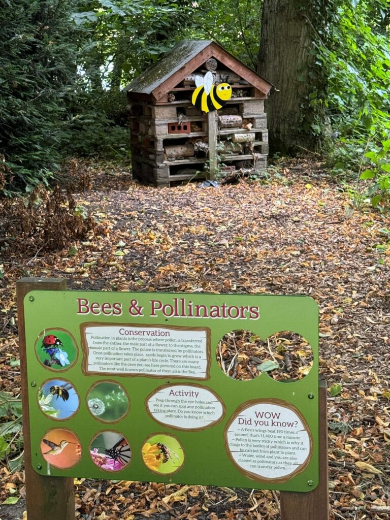 Thornton le Dale Nature Trail Bug Hotel