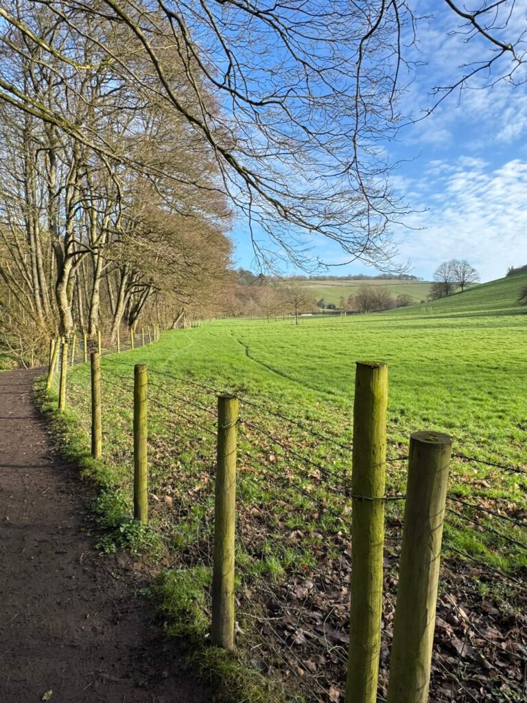 Thornton to Ellerburn walk views of open fields