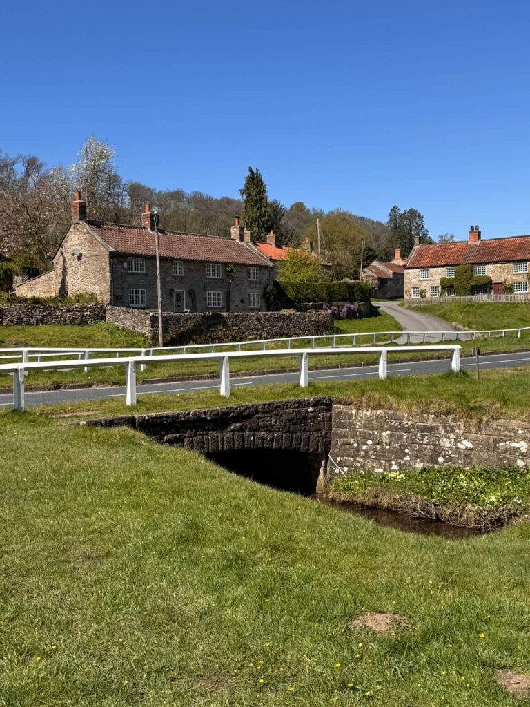 Pretty Hutton le Hole