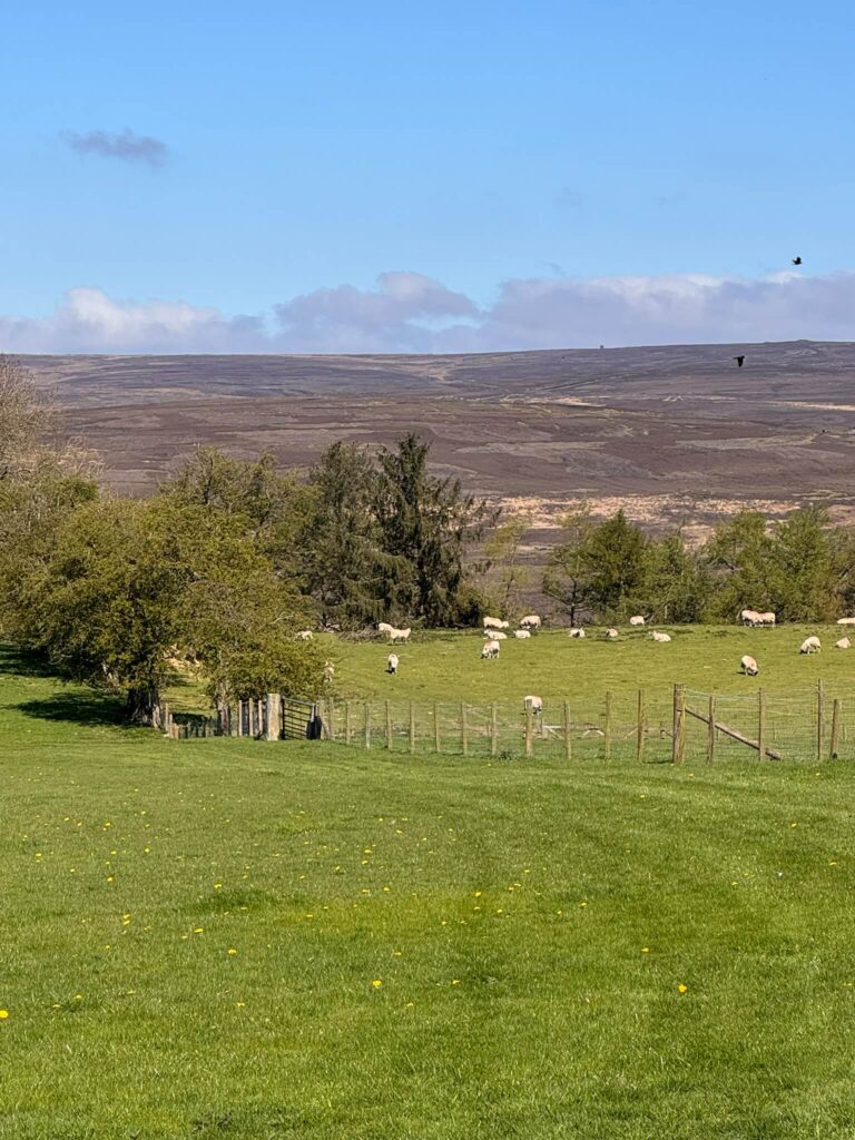 Views across the North York Moors