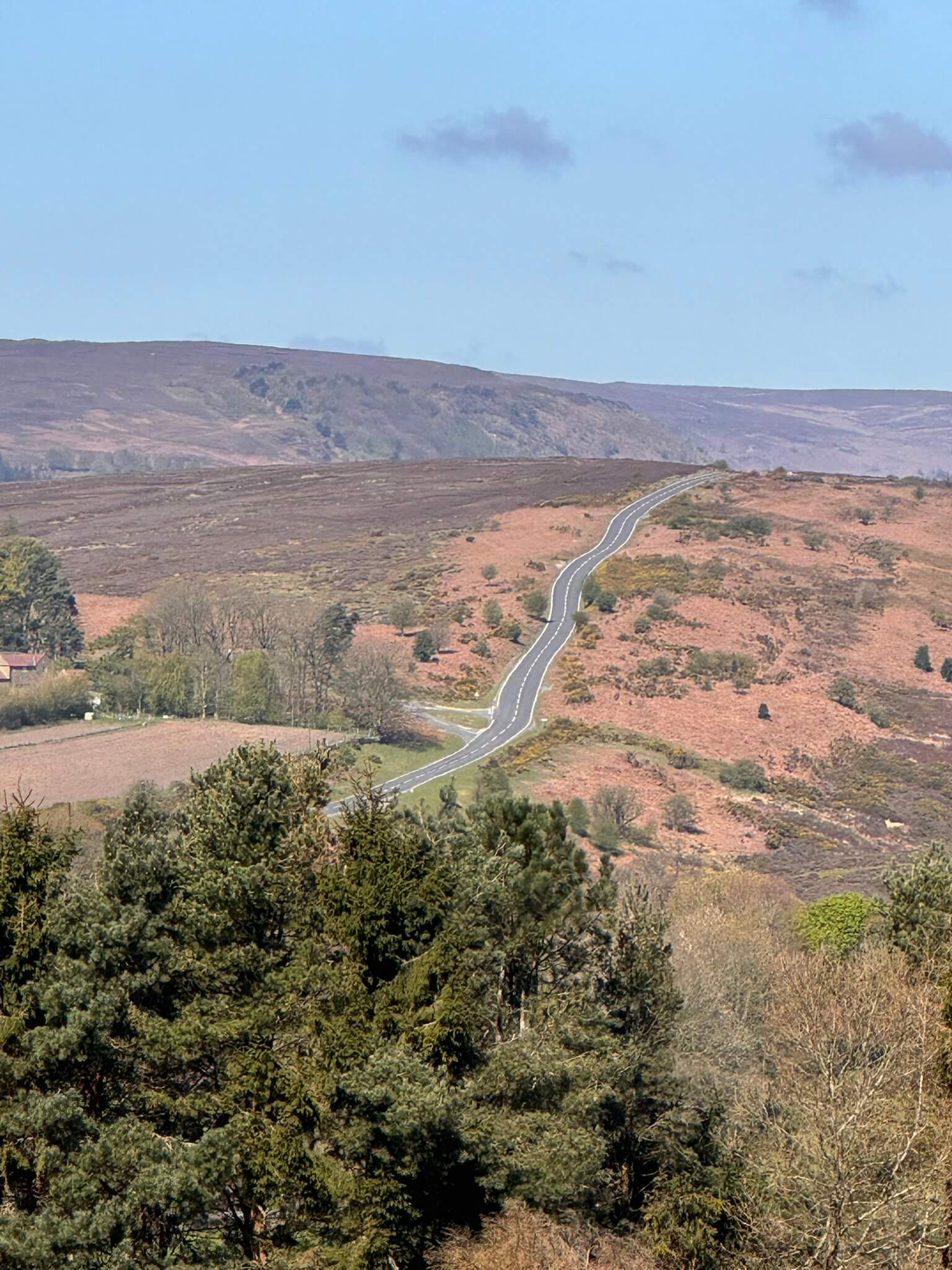 Featured image for “A Perfect Spring Walk: Hutton-le-Hole to Lastingham”