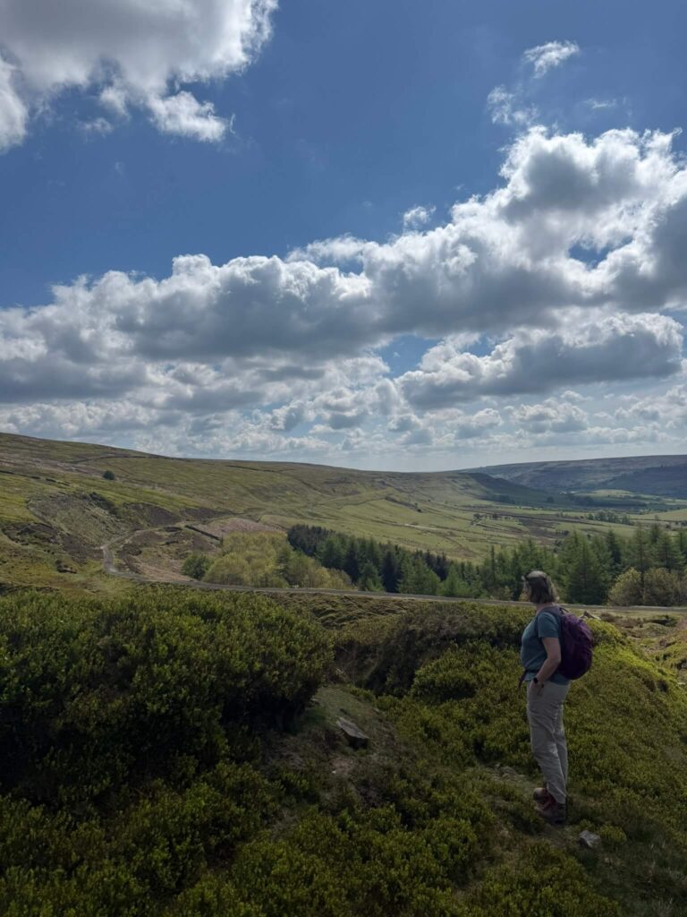 Fabulous views across Rosedale