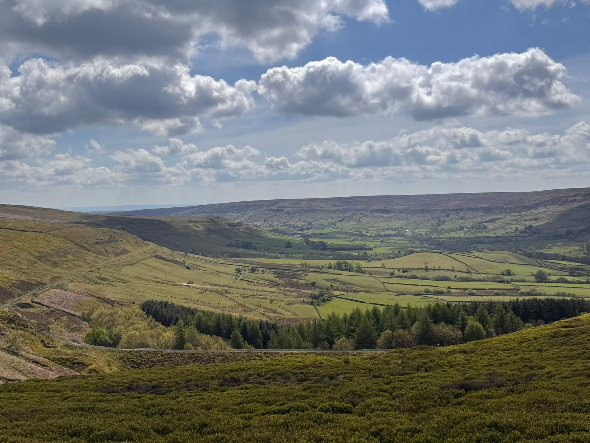 Featured image for “Iron, Industry, and Incredible Views: The History of Rosedale”